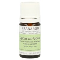 Hierba Luisa Aceite Esencial 5 ml Pranarom