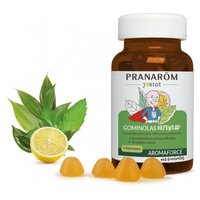 Gominolas defensas junior bio 60 gominolas - Pranarom